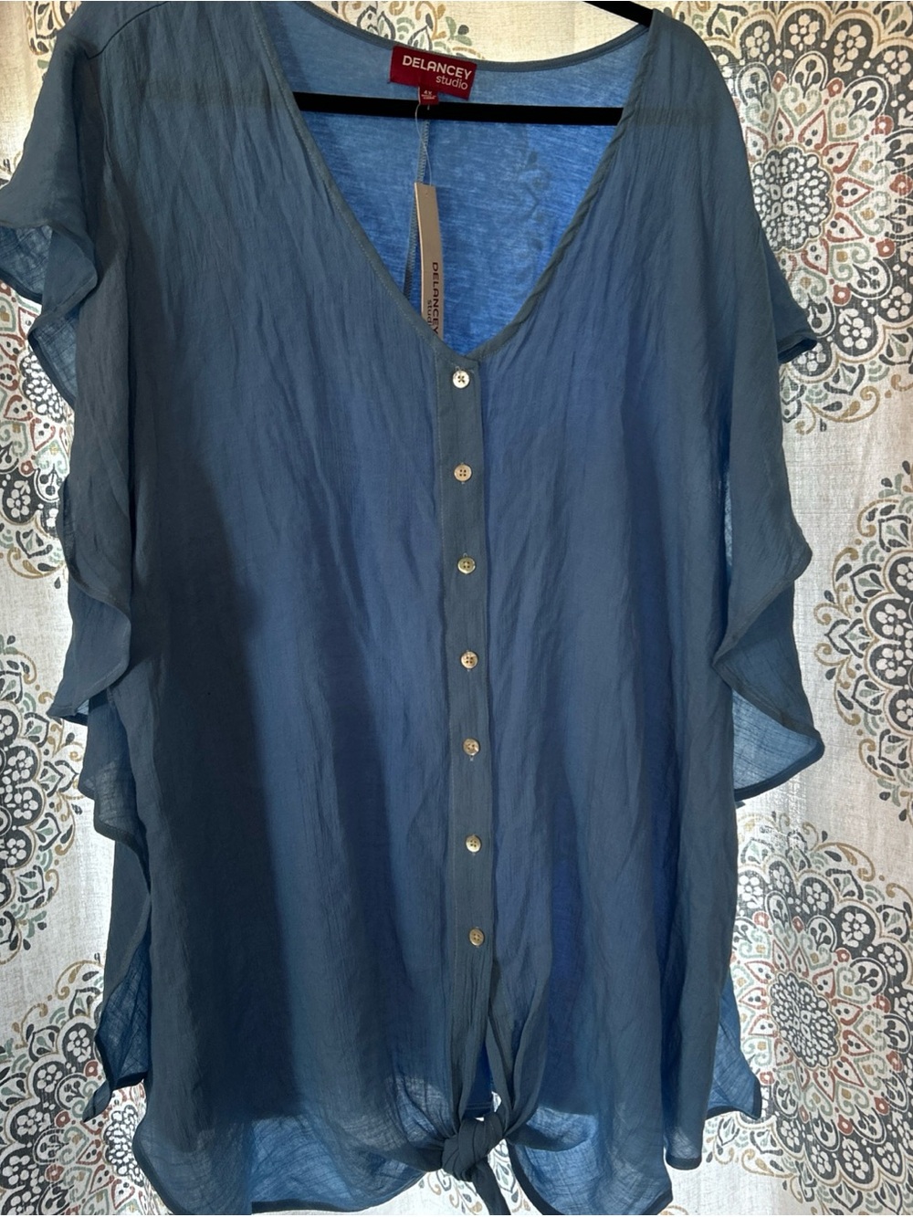 Delancey Studio Plus 4X Blue Button-Front Sheer Tie-Hem Top